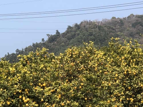 f0333882_11465319.jpg