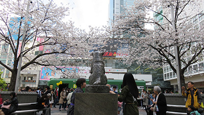 b0056983_15164231.jpg