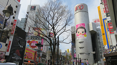 b0056983_15164274.jpg