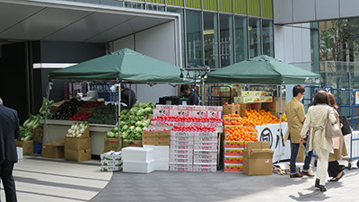 b0056983_15182127.jpg