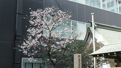 b0056983_15182128.jpg