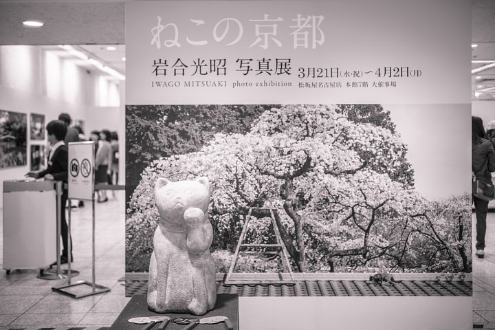 早春のデパートメントストア_d0353489_0321364.jpg
