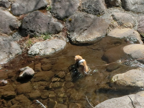 a0319693_8201429.jpg