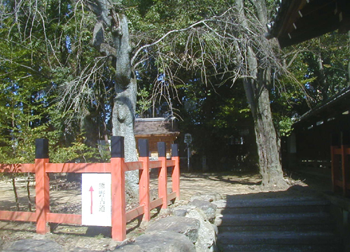 ●神社の造形―新熊野神社、その２_d0053294_02225568.jpg
