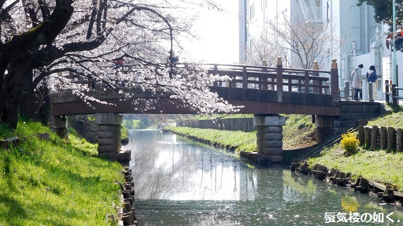 「月がきれい」舞台探訪016　桜の季節に新河岸川氷川橋から起点の碑までを巡って(H300325)_e0304702_08085450.jpg