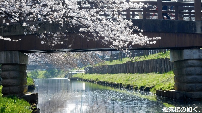 「月がきれい」舞台探訪016　桜の季節に新河岸川氷川橋から起点の碑までを巡って(H300325)_e0304702_08090137.jpg