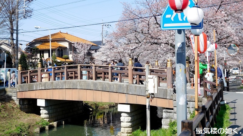 「月がきれい」舞台探訪016　桜の季節に新河岸川氷川橋から起点の碑までを巡って(H300325)_e0304702_20582001.jpg