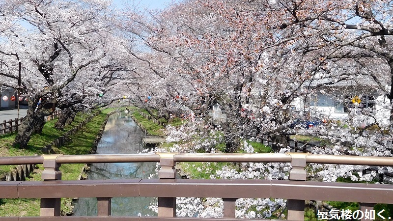 「月がきれい」舞台探訪016　桜の季節に新河岸川氷川橋から起点の碑までを巡って(H300325)_e0304702_20590895.jpg
