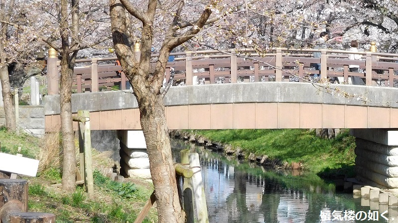 「月がきれい」舞台探訪016　桜の季節に新河岸川氷川橋から起点の碑までを巡って(H300325)_e0304702_20592451.jpg