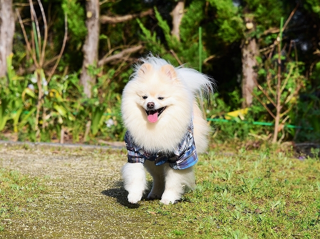 いわゆる、季節の変わり目_d0360206_03170490.jpg