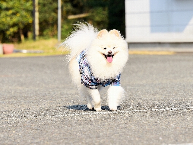 いわゆる、季節の変わり目_d0360206_03171784.jpg