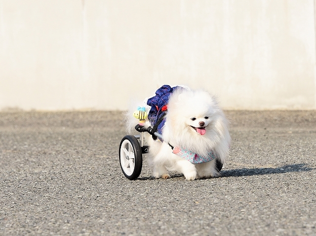 いわゆる、季節の変わり目_d0360206_03172152.jpg
