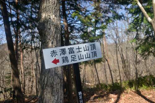 ミツマタの星降る栃木の里山を歩く～2018年3月 栃木百名山鶏足山_d0372906_09092798.jpg