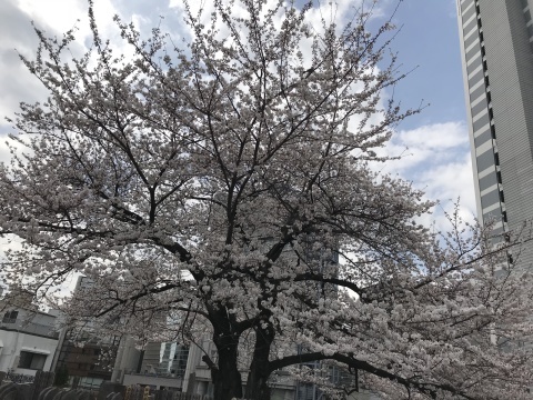 a0161409_01095368.jpg