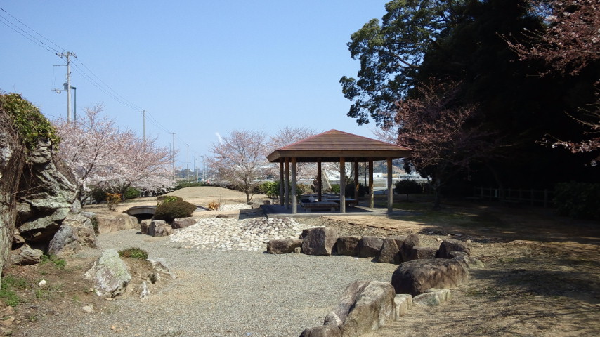さくらの花見二回目:桜の花見で「もくもぐタイム。そだね〜〜!」_a0348309_17514812.jpg