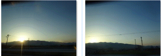 f0231709_21131332.gif