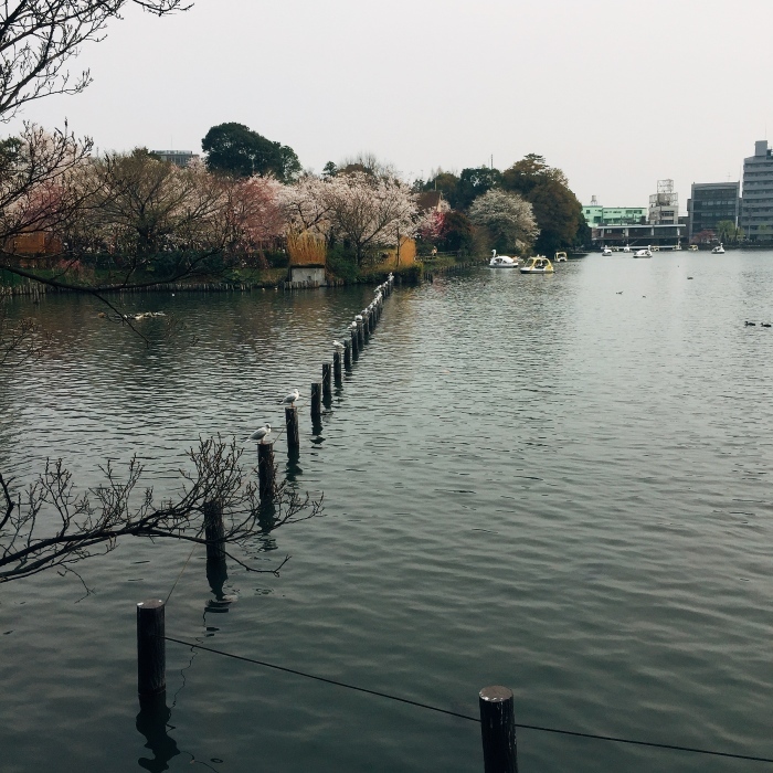 d0138811_23260460.jpeg
