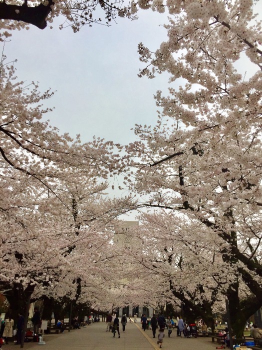 d0138811_23272677.jpeg