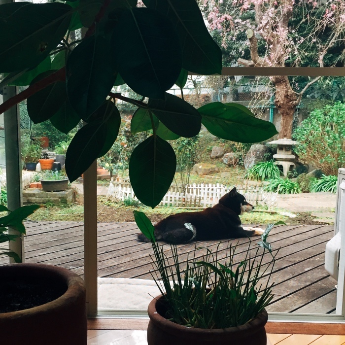 d0138811_23311370.jpeg