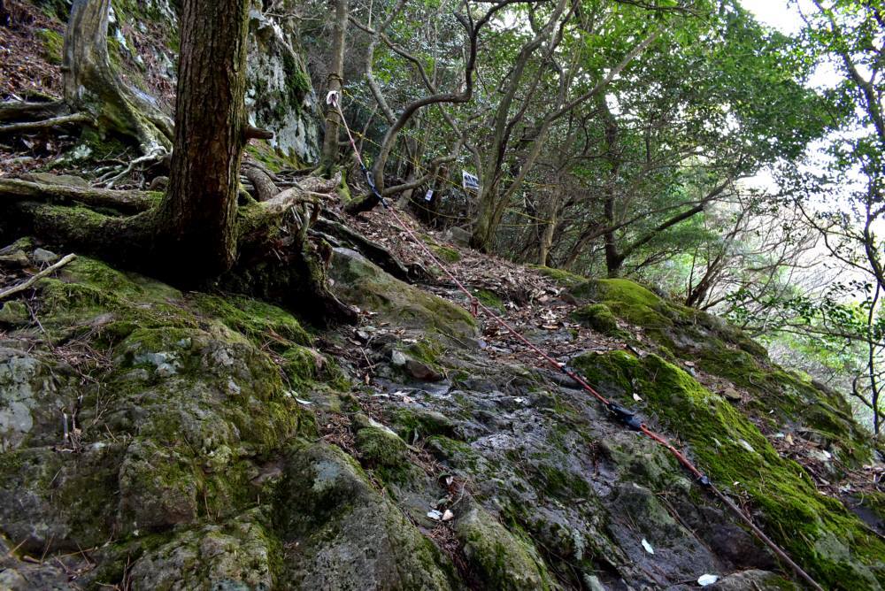 f0212511_07145932.jpg