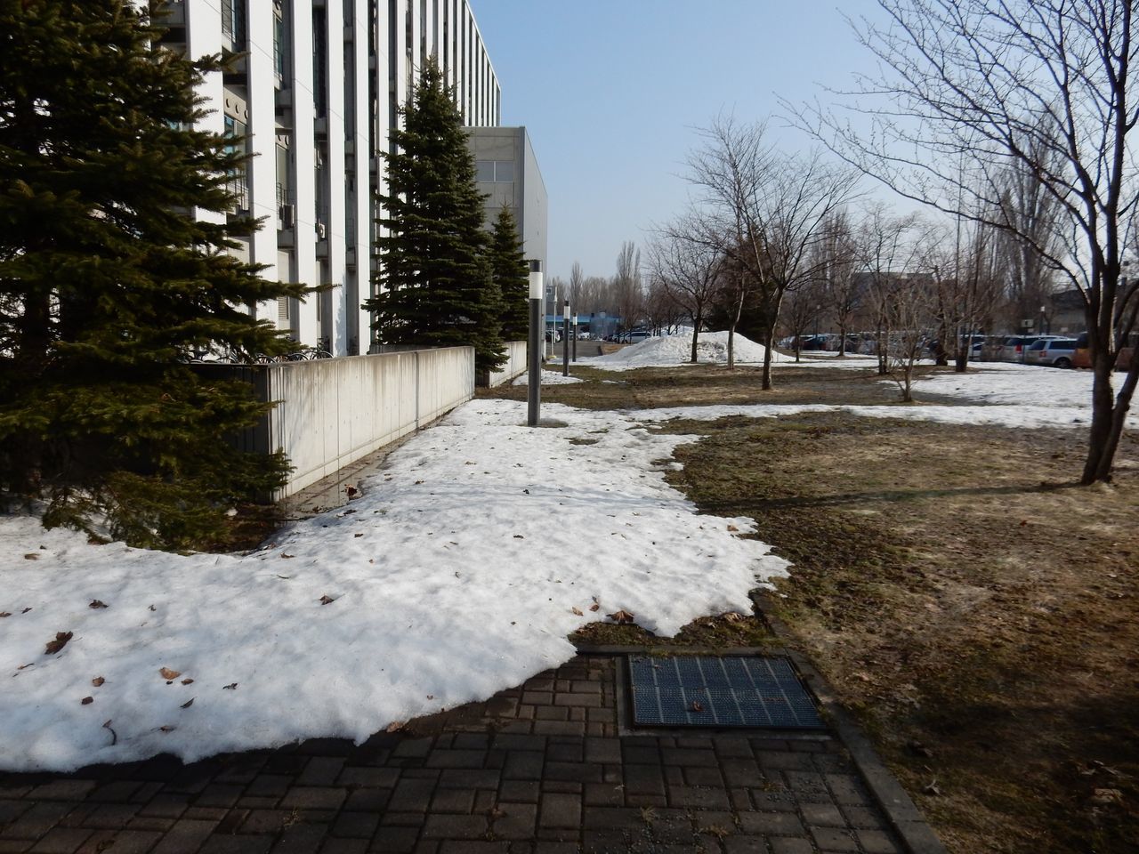 北大科学コミュニケーターの半生_c0025115_22324850.jpg