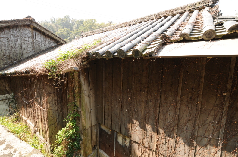 和歌山県 和歌山市 加太_f0381120_12065212.jpeg