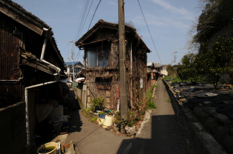 和歌山県 和歌山市 加太_f0381120_12075325.jpeg