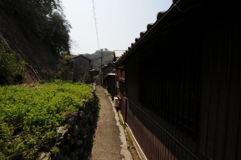 和歌山県 和歌山市 加太_f0381120_12091684.jpeg