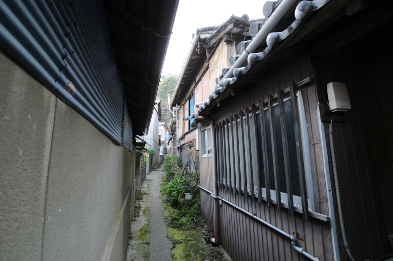 和歌山県 和歌山市 加太_f0381120_12202483.jpeg