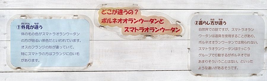 f0224624_19553115.jpg