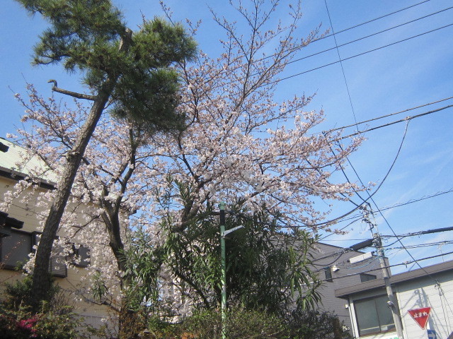 d0162225_23023221.jpg