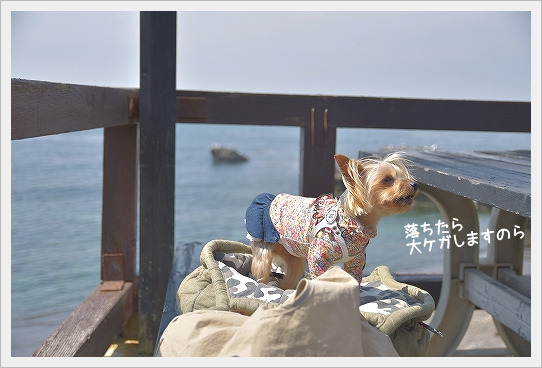 d0179828_07531297.png