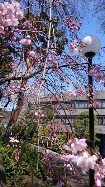 b0164132_17112206.jpg
