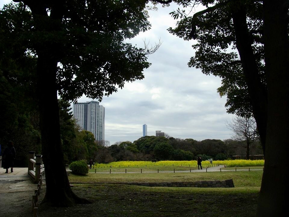 d0269832_07581784.jpeg