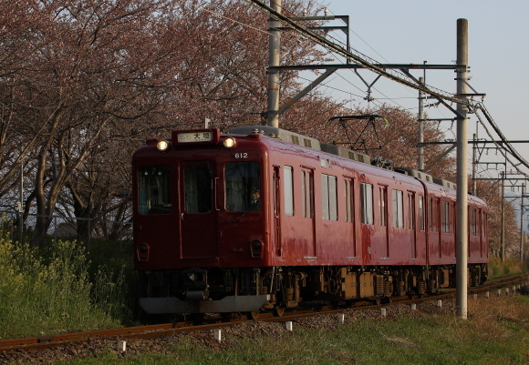 桜はまだ_b0314633_09450039.jpg