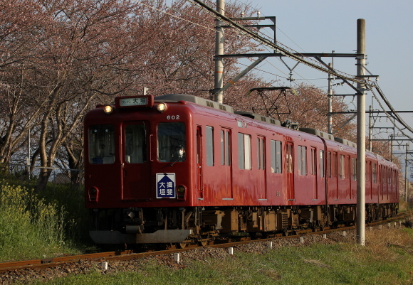 桜はまだ_b0314633_09453236.jpg