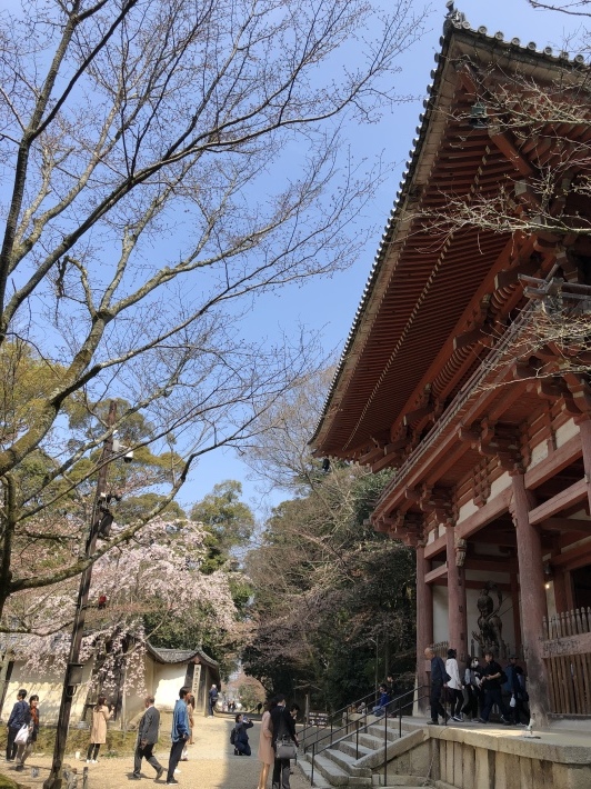 d0282139_04383740.jpeg