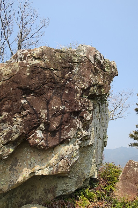 三国山～オクボ山手前まで周回_b0133440_22141664.jpg