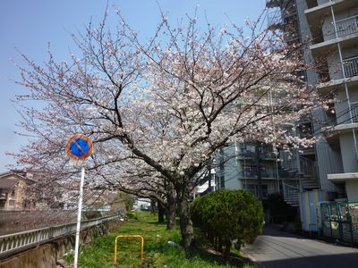 c0211540_23391235.jpg