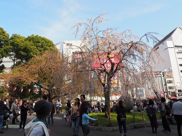 e0272042_17322475.jpg