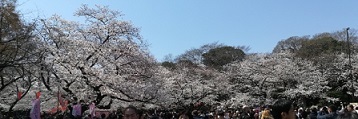 c0225143_14022856.jpg