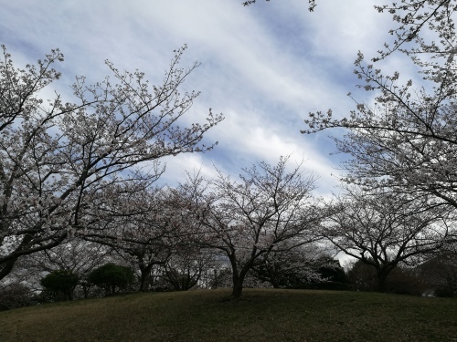 e0341143_14023694.jpg