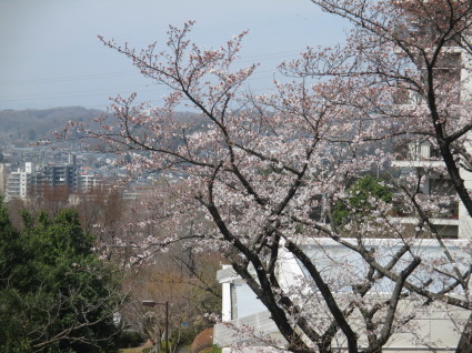 f0227248_11455276.jpg