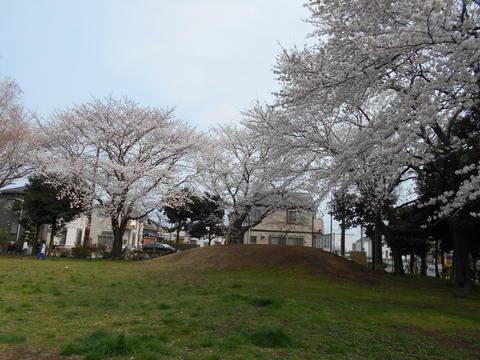 酒杯に花びら_b0050651_1733595.jpg