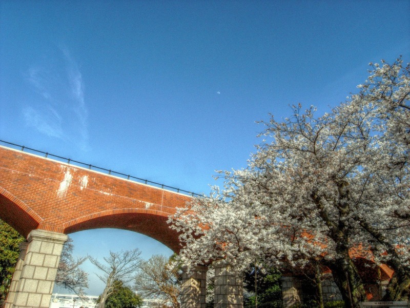 b0083855_20575494.jpg