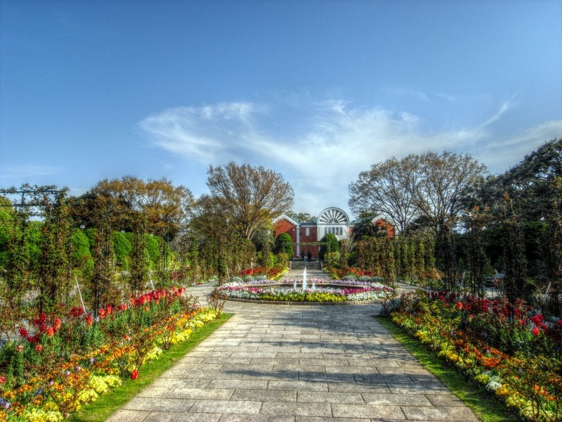 b0083855_20581063.jpg