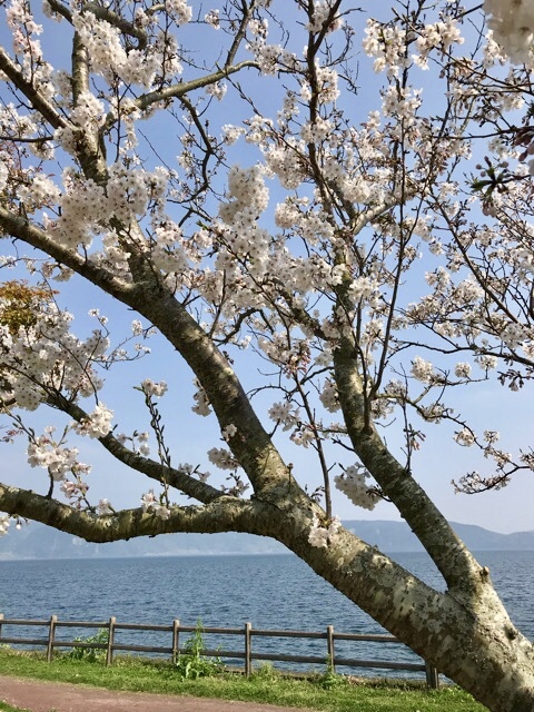 d0156557_10010583.jpeg