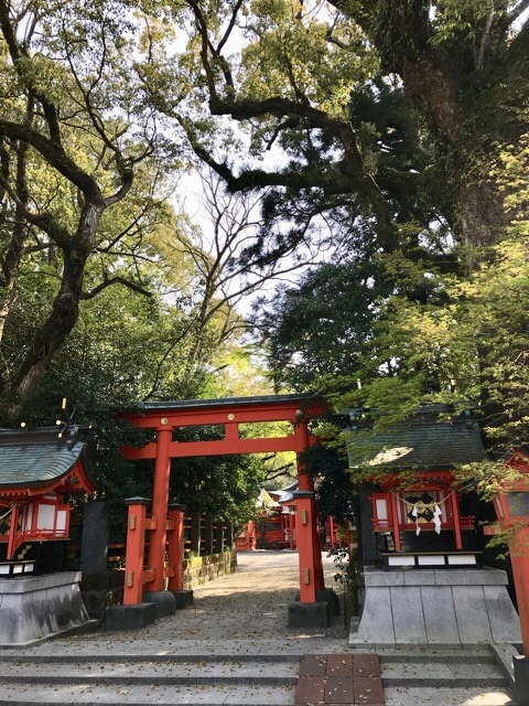 d0156557_10013581.jpeg