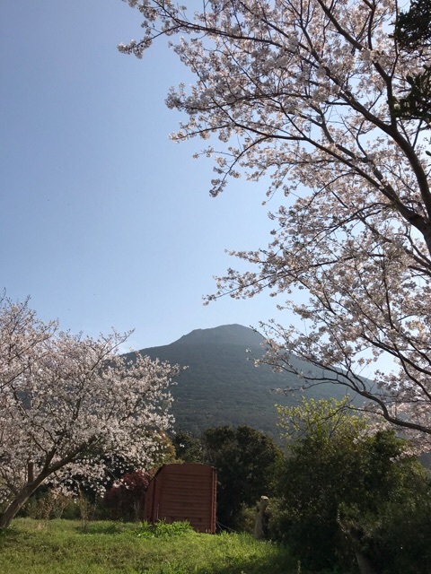 d0156557_10020108.jpeg