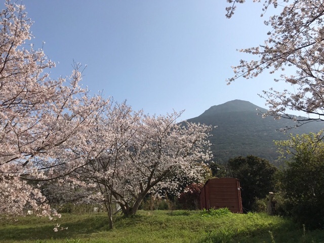 d0156557_10021045.jpeg